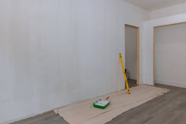 Best Drywall Sanding and Smoothing  in Danville, IA